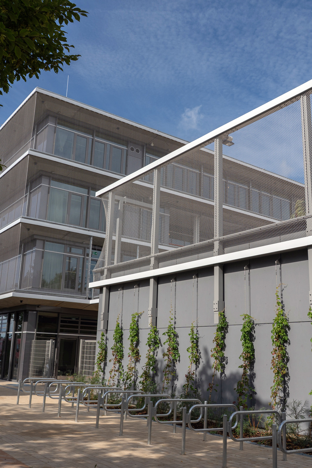 Neubau einer 3-zügigen Grundschule